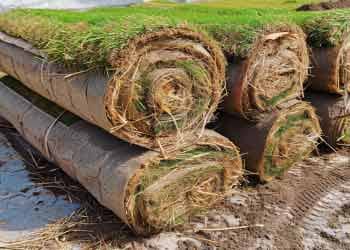 Commercial Turf Installation