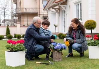 Compact Garden Retreats