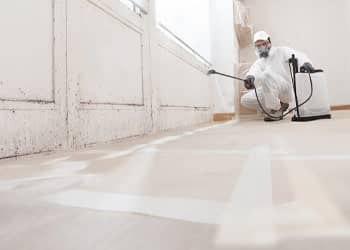 Comprehensive Mould Inspections