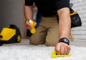Comprehensive Property Cleaning Services
