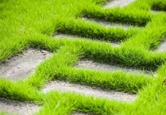 Custom Grass Designs