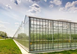 Custom Greenhouses
