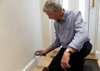 Damp and Timber Reports