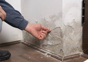 Dampness and Condensation Solutions