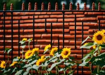 Decorative Fence Panel Repair