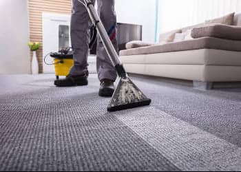 Deep Floor and Carpet Cleaning