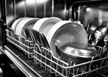 Dishwasher and Equipment Sanitation