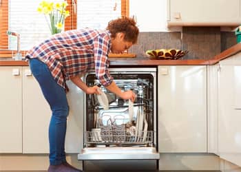Dishwasher Disposal