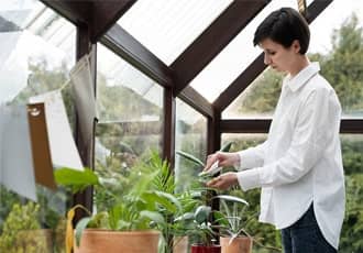 Domestic Greenhouse Removal