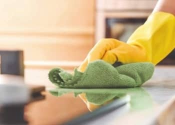 Dusting & Surface Wipe Down