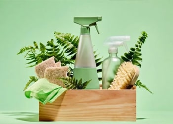 Eco-Friendly Cleaning Choices