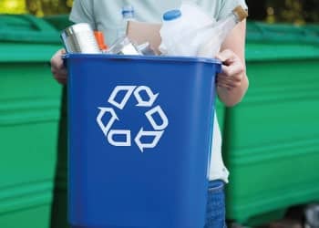 Eco-Friendly Disposal