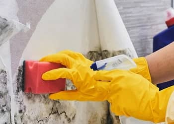 Eco-Friendly Mould Solutions