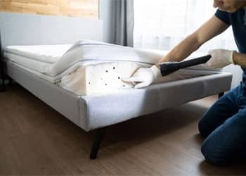 Emergency Bed Bug Treatment