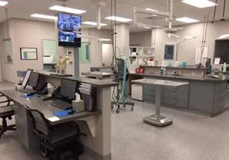 Emergency Clearances