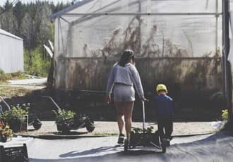 Emergency Greenhouse Removal