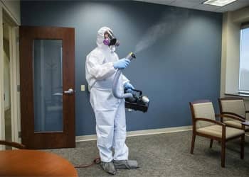 Emergency mould removal service