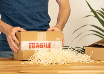 Emergency Overnight Delivery