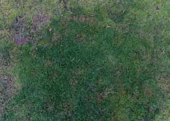 Emergency Repair & Re-Turfing