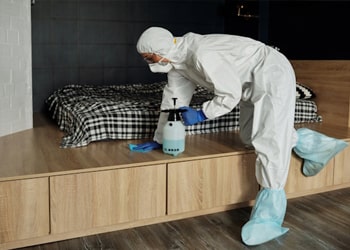 Emergency Vomit Cleanup