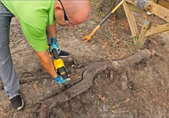 Excavation & Root Rhizome Removal