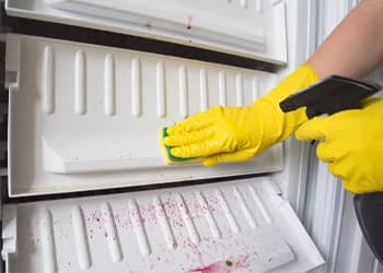 Freezer Cleaning