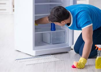 Fridge Cleaning
