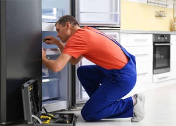 Fridge Disposal