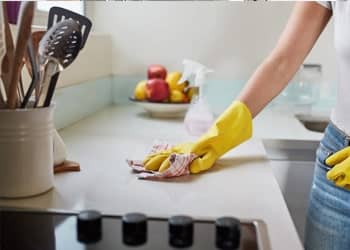 Full Kitchen Sanitation