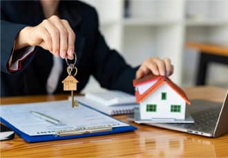 Full Site Surveys & Knotweed Mapping