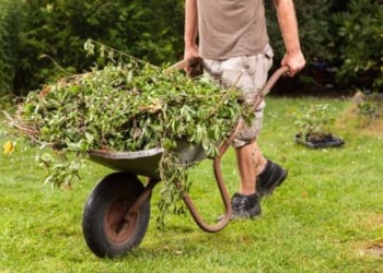 Garden & Green Waste Pickup
