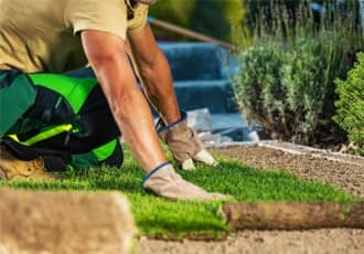 Garden Lawn Installation