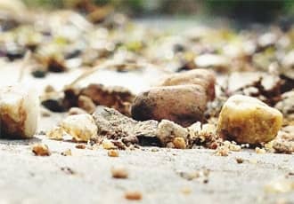 General Garden Waste Removal