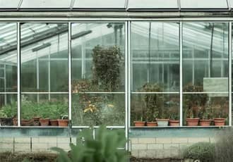 Glass Greenhouse Removal