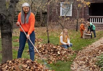 Grass Cuttings Removal