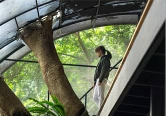 Greenhouse & Pergola Removal