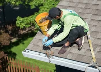 Gutter Bird Dropping Removal