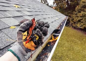 Gutter Cleaning