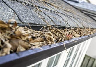 Gutter & Roofline Ivy Clearing