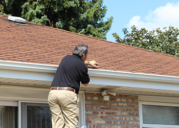 Guttering & Roofline Inspections