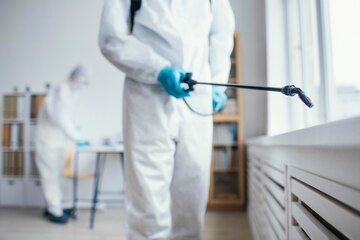 Heat Treatment for Bed Bugs