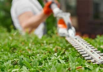 Hedge & Edging Trimming