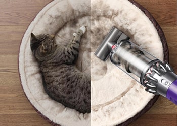 High-Traffic Area Vacuuming