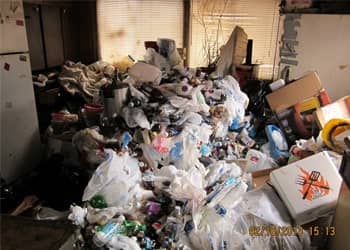 Hoarding and Gross Filth Cleanup