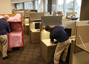 International Business Relocations