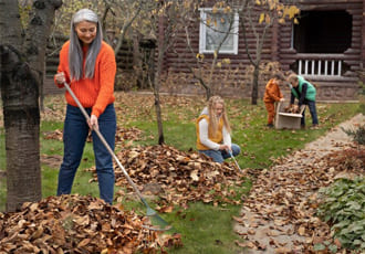 Jungle Garden Clean-Ups