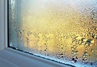 Kitchen Mould Cleaning