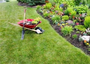 Landscaping Preparation