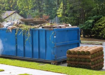 Large-Scale Dumping Removal