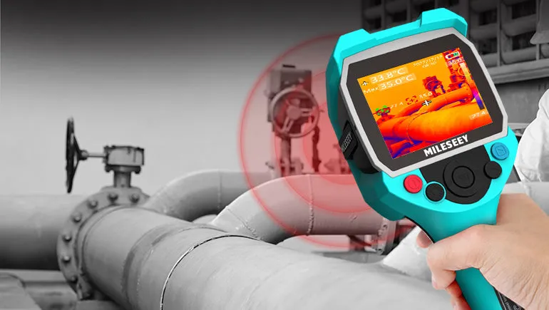 Leak & Moisture Detection